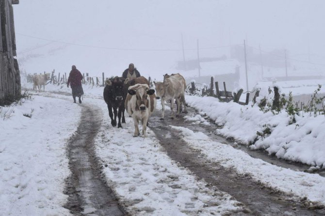 Doğu Karadeniz’in Yüksek Kesimlerinde Kar Kalınlığı 30 Santimetreyi Buldu
