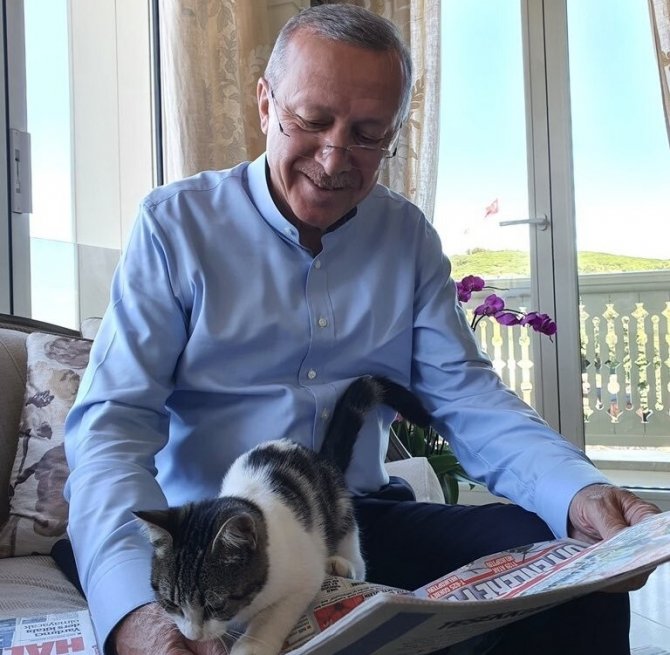 Cumhurbaşkanı Erdoğan Torununun Kedisiyle Olan Fotoğrafını Paylaştı