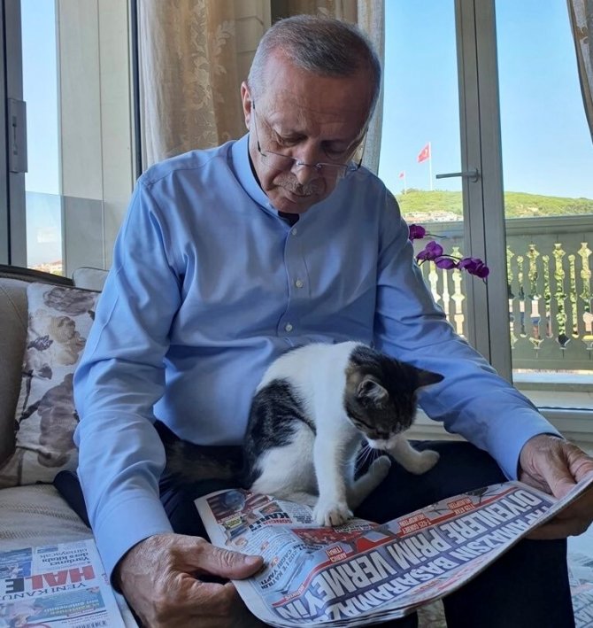 Cumhurbaşkanı Erdoğan Torununun Kedisiyle Olan Fotoğrafını Paylaştı