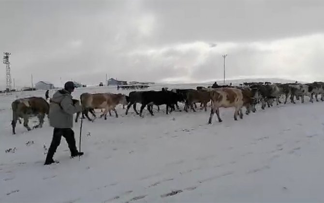 Kar Etkili Oldu: Yaylacıların Dönüş Hazırlıkları Erken Başladı