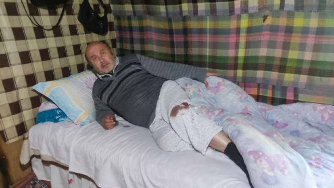 Karşısına Çıkan Ayıyla Boğuşan Adam O Dehşet Anlarını Anlattı