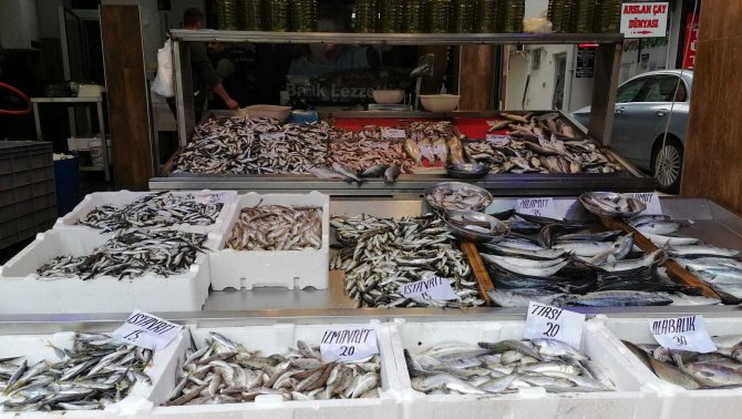 Balık Az, Fiyatlar Pahalı