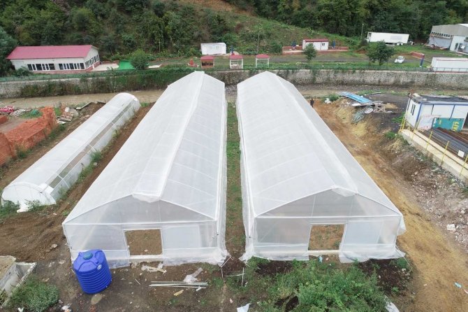 Akçaabat Belediyesi Bünyesinde 2 Adet Sera Faaliyete Geçiyor