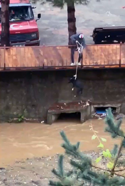 Dere Yatağında Mahsur Kalan Köpeği Vatandaşlar Kurtardı