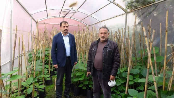 Trabzon’da Bal Ormanları Oluşturularak Arı Ölümlerinin Önüne Geçilecek Hem De Bal Verimi Artırılacak