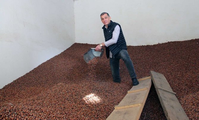 Fındık Üreticide 24, Rafta 80 Lira