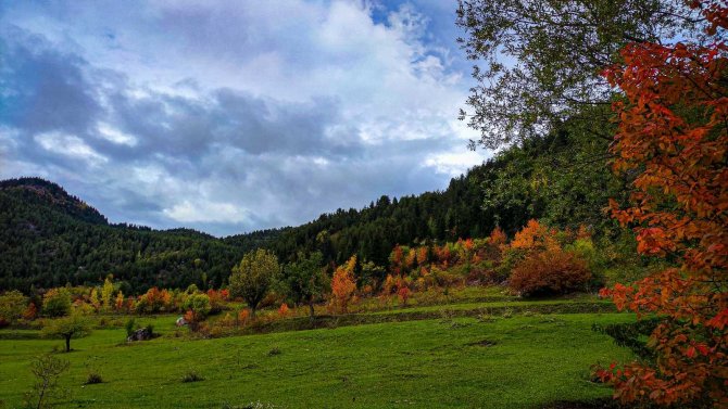 Sonbaharın Gelişi İle Sakin Şehir Şavşat’ta Renk Cümbüşü Başladı
