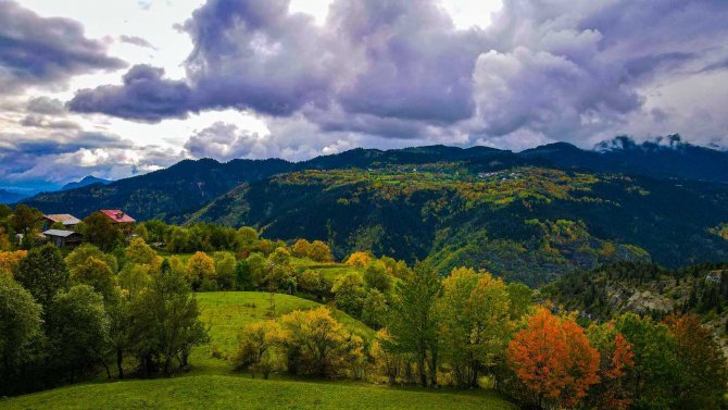 Sonbaharın Gelişi İle Sakin Şehir Şavşat’ta Renk Cümbüşü Başladı