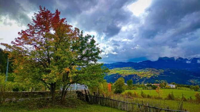 Sonbaharın Gelişi İle Sakin Şehir Şavşat’ta Renk Cümbüşü Başladı