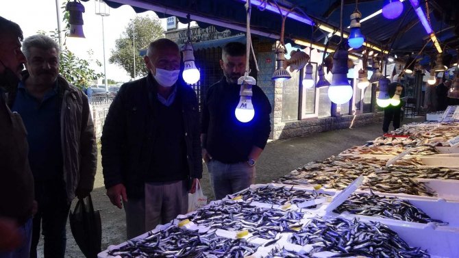 Hamsinin Fiyatı 10 Tl’ye Kadar Gerileyince Vatandaş Tezgahlara Akın Etti