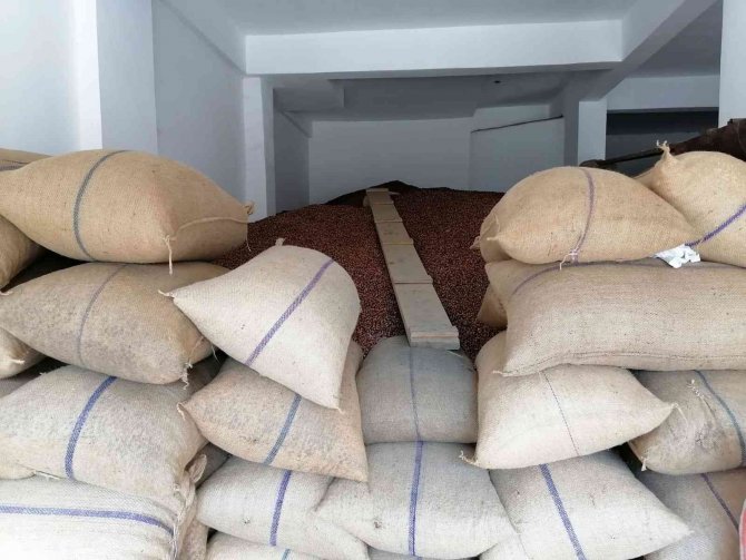 Fındık Fiyatı Haftayı 24,50 Tl’den Kapatıyor