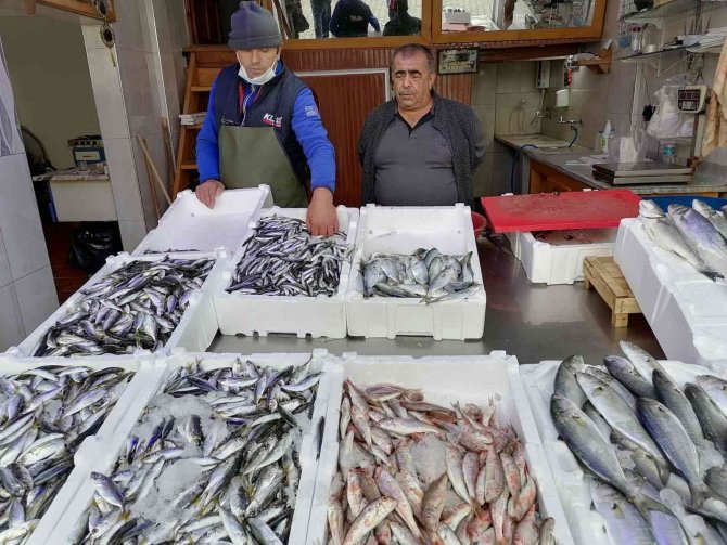 Hava Şartları Balık Fiyatlarını Olumsuz Etkiledi