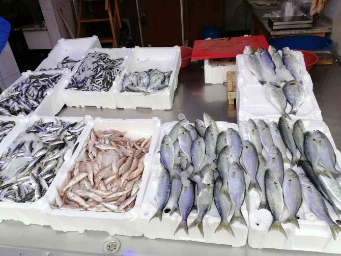 Hava Şartları Balık Fiyatlarını Olumsuz Etkiledi