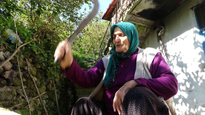 83 Yaşında Fındık Topladı, Parası İle Kendine Mezar Yaptırdı