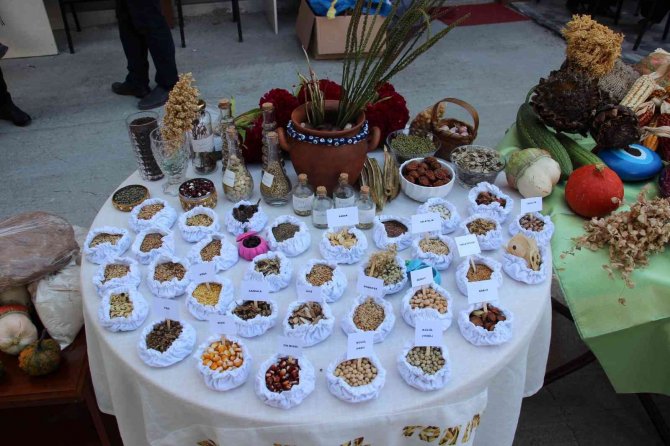 Artvin’de ‘Tohum Takas Şenliği’ Yapıldı