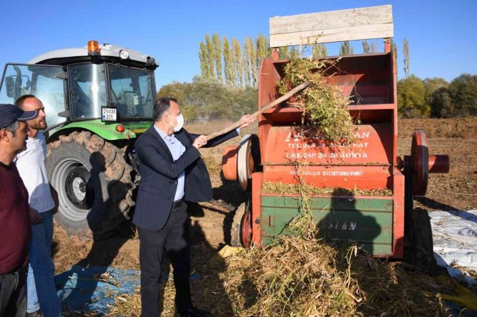 Vali Taşbilek Köse’de Kuru Fasulye Hasadına Katıldı