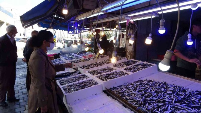 Karadeniz’de İstavritten Sonra Hamsi Bereketi