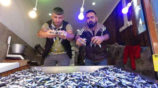Karadeniz’de İstavritten Sonra Hamsi Bereketi