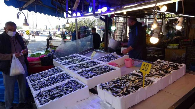 Karadeniz’de İstavritten Sonra Hamsi Bereketi