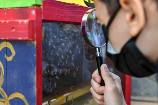 Miniklere Böceklerle Ekoloji Eğitimi