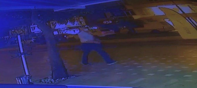 Gövdesi Çürüyen Ağaç Kaldırıma Devrildi, Bir Vatandaş Saniyelerle Altında Kalmaktan Kurtuldu