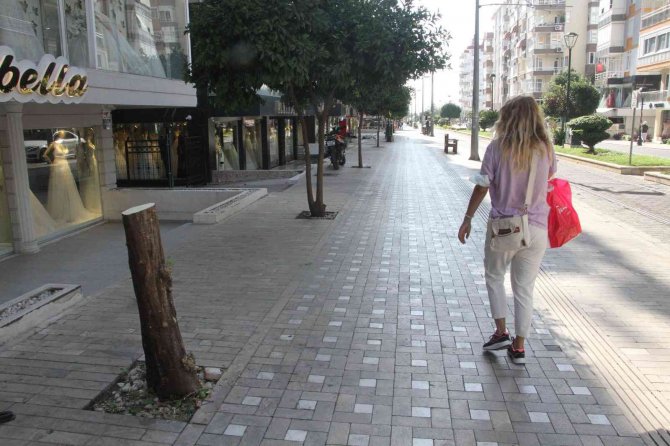 Gövdesi Çürüyen Ağaç Kaldırıma Devrildi, Bir Vatandaş Saniyelerle Altında Kalmaktan Kurtuldu