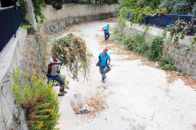 Başkan Çalkaya’dan Çevre Duyarlılığı Mesajı