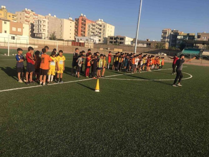 Bakan Kasapoğlu’ndan Chp Milletvekili Tanal’a Silopi Yanıtı