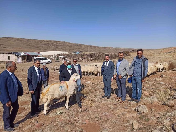 Sarıçiçek Yaylasındaki Su Sıkıntısı Çözüme Kavuşuyor