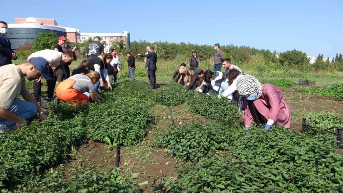 Üniversite Öğrencilerinden İlaç Sanayisine Destek
