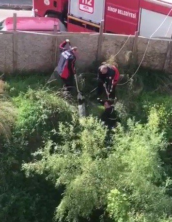 Sinop’ta Su Dolu İnşaat Çukuruna Düşen Köpeği İtfaiye Kurtardı