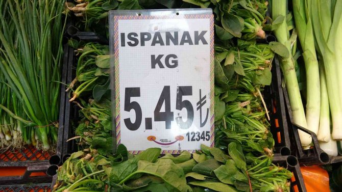 Sonbaharın Gözdesi Ispanak Tarlada 3.5 Liraya Yükseldi