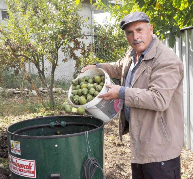 Kanatlı Hayvan Gübresiyle Ceviz Üretimini İkiye Katladı