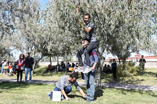 İ̇ğde Hasat Şenliğinde İğde Toplayıp Kıyasıya Yarıştılar