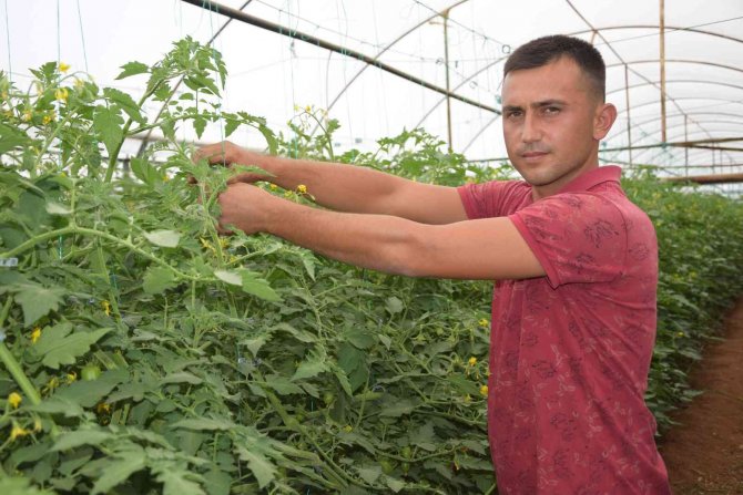 Üreticiden 13 Tl’ye Çıkan Kokteyl Domates Marketlerde 23 Tl’ye Satılıyor