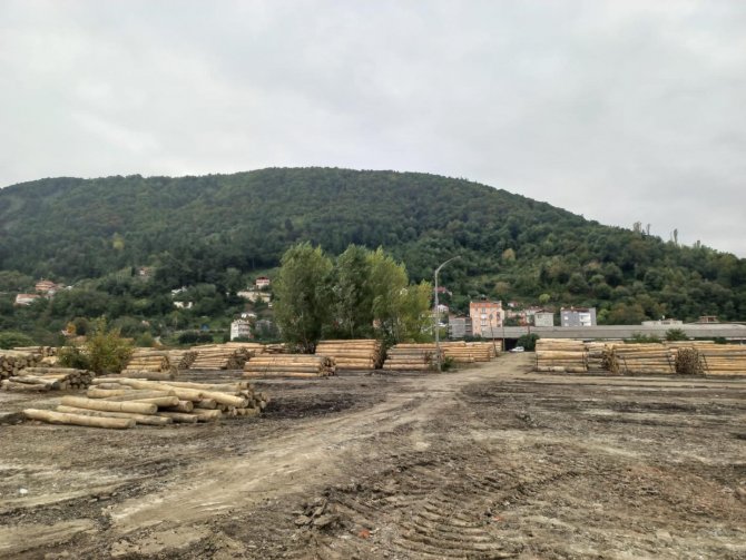 Ayancık Eski Kereste Fabrikası, Yıllar Sonra Orman Deposuna Dönüştü