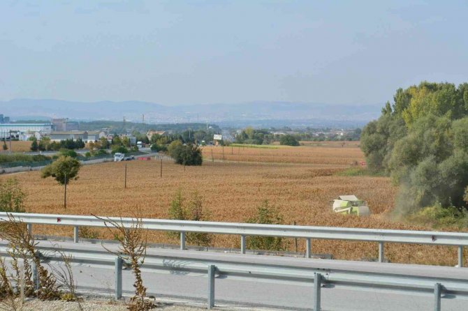 Baün’den Mısır Hasadı