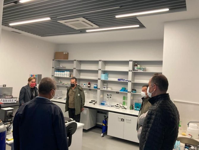 Trabzon Kanaryaotu Ve Allı Gelin Bitkisinin İlaç Olma Potansiyelleri Araştırılıyor