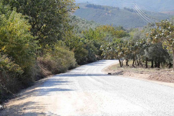 Gemlik’te Mesire Alanına Ulaşmak Artık Daha Kolay