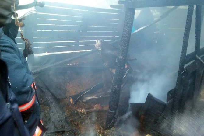 Gümüşhane’de Ahır Yangını