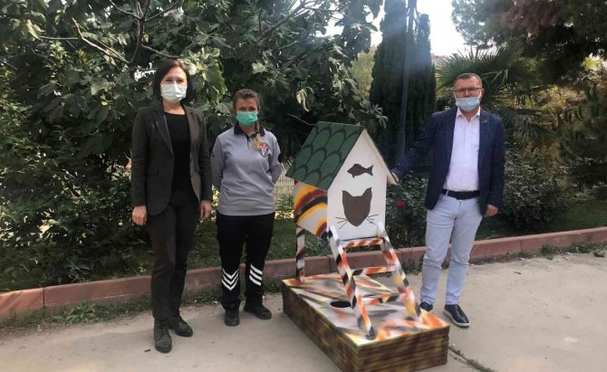 Kedi Ve Köpeklerin Yuvaları Hazır