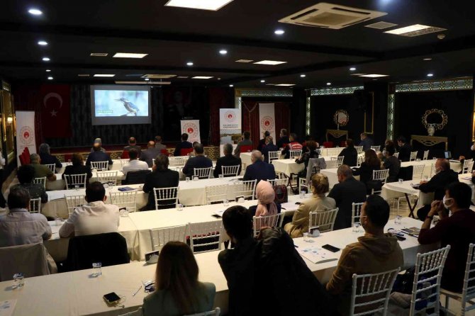Kızılırmak Deltası’nda 84 Yeni Tür Kayıt Altına Alındı.