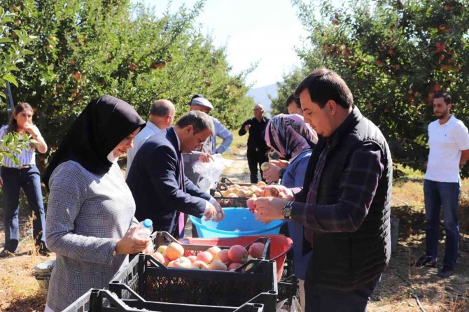 -Korkuteli Protokolü Elma Hasatında