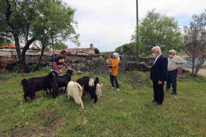 Kıl Keçisi Desteği Başvuruları Devam Ediyor