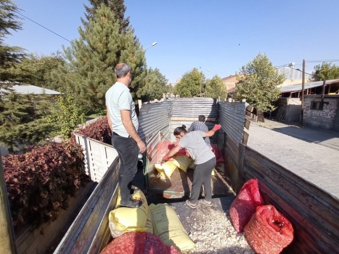 Elazığ’da Çiftçilere Yüzde 75 Hibeli Sarımsak Tohumu Dağıtıldı
