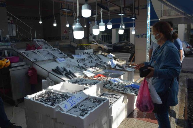Sinop’ta Hamsi 10 Tl