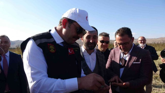 Kenevir Umut Oldu, İlk Hasat Gerçekleştirildi