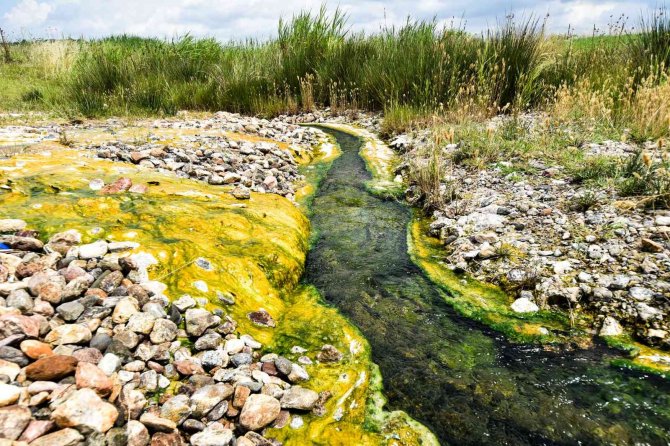 Susurluk Çamur Kaplıcaları Doğal Şifa Kaynağı