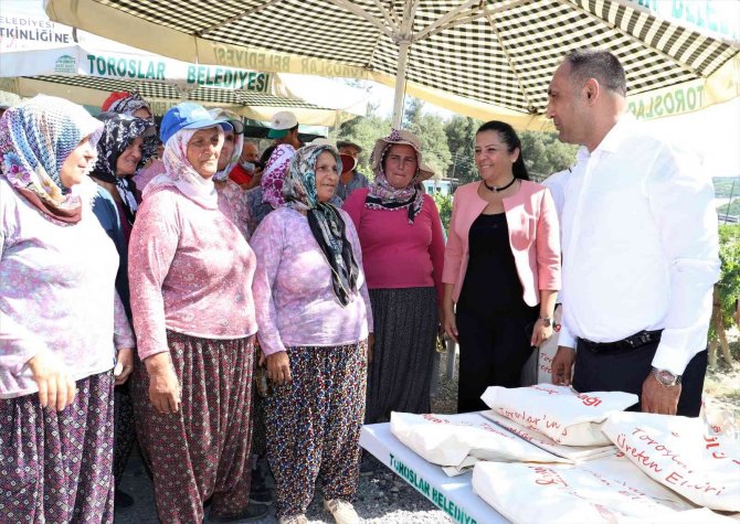 Toroslar Belediyesi Kivi Festivali Düzenliyor