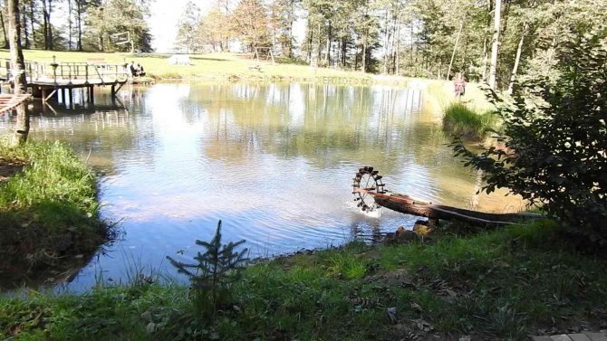 Doğanın Koynundaki Huzur “Barak Gölü”